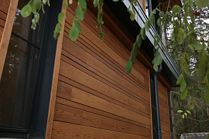 Отделка термопланкеном и АКП