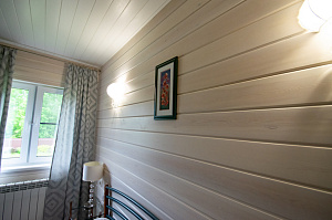 крашеный стены из имитации бруса