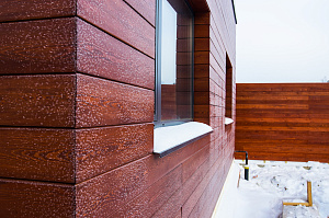 экстровый планкен