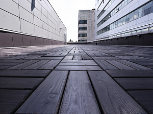 Преображение эксплуатируемой кровли: Терраса из термососны в Ленинградской области