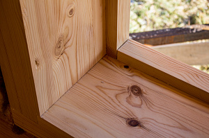 осада для сосны