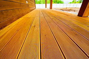 лиственничная терраса вельвет