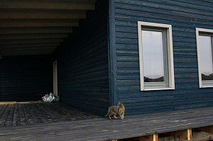 фасад и терраса в сорте с