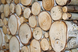 декоративный элемент для фасада