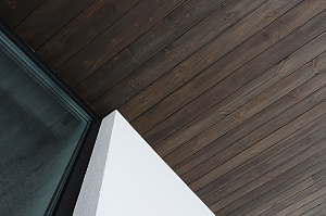 Комбинированный фасад от Лесобиржа-Спб: гармония стиля и долговечности в 