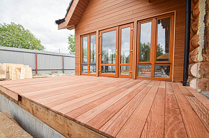 Кемпас — дерево, которое не боится ничего: экзотика с характером на вашей террасе