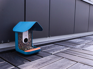 Преображение эксплуатируемой кровли: Терраса из термососны в Ленинградской области