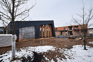 Идеальное решение для нашего климата: термоясень, не боящийся влаги и перепадов температур