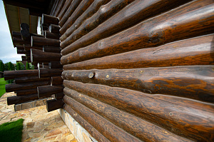 покраска сруба маслом