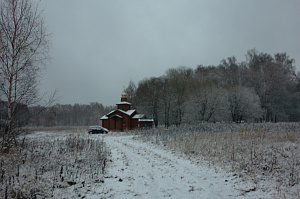 крашеный дом