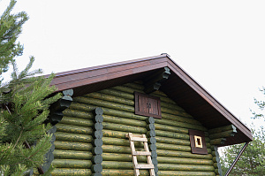 Баня мечты в Бобровом: комплексная отделка и покраска сруба