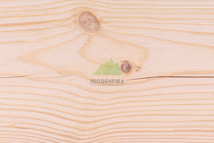 porok-drevesiny-treshchiny.jpg