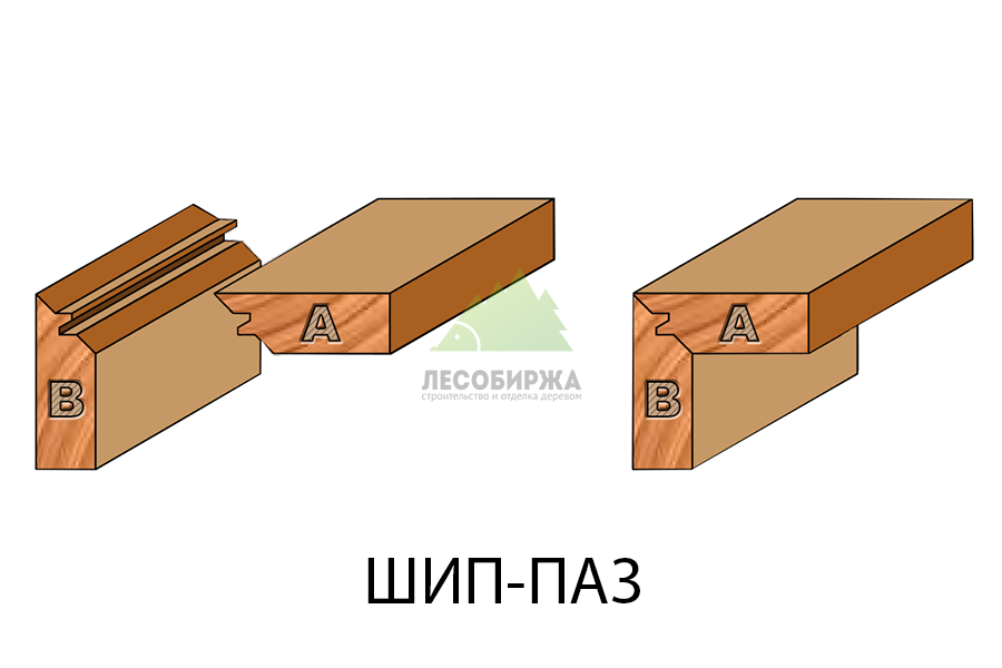 ship-paz.png