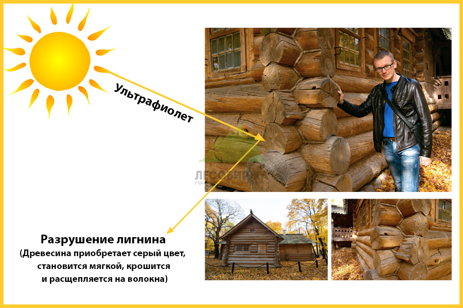 Лигнин деградация