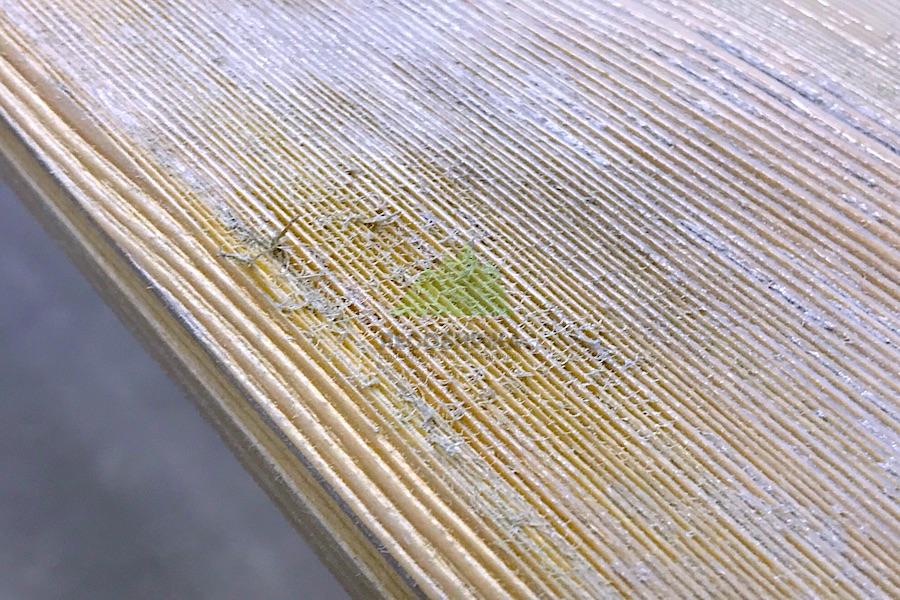 Поднятый ворс на древесине после покраски