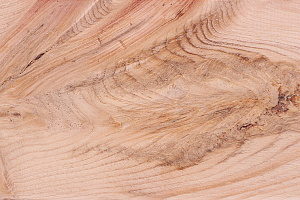 Пороки древесины: виды и особенности. 
